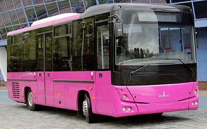 Автобус МАЗ 232162