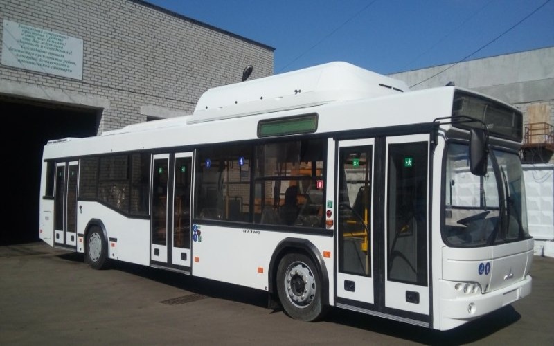 Автобус МАЗ 103l65